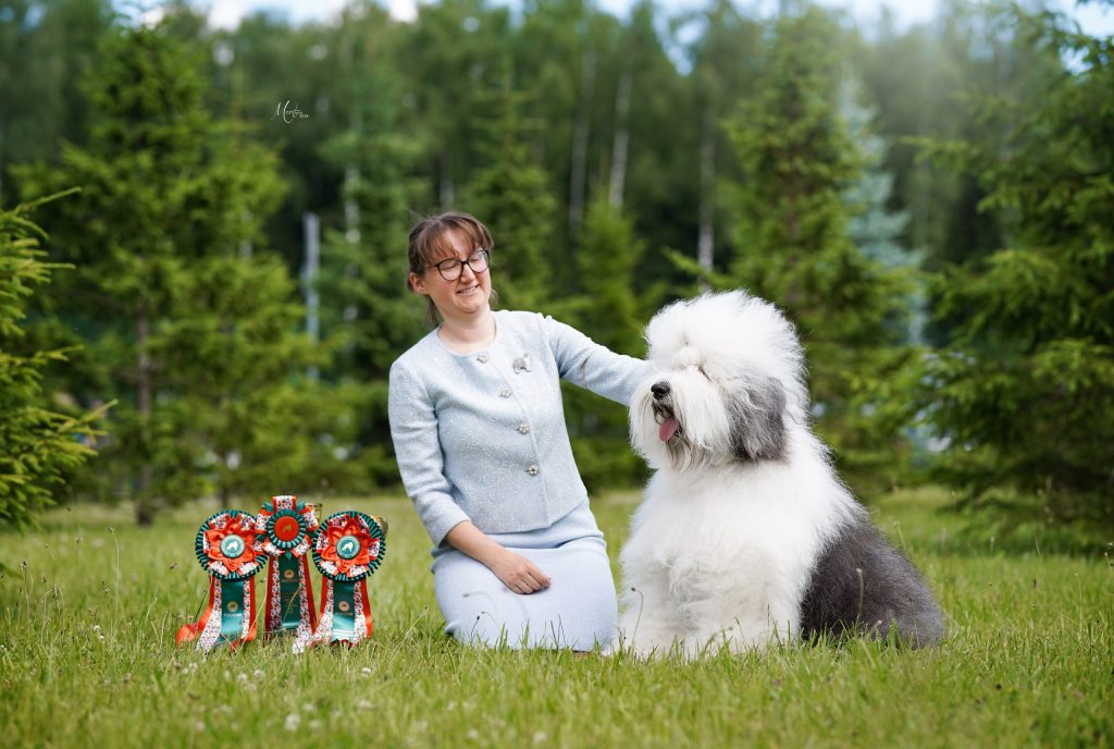 Собака FURRY MIRACLE NEW WONDER