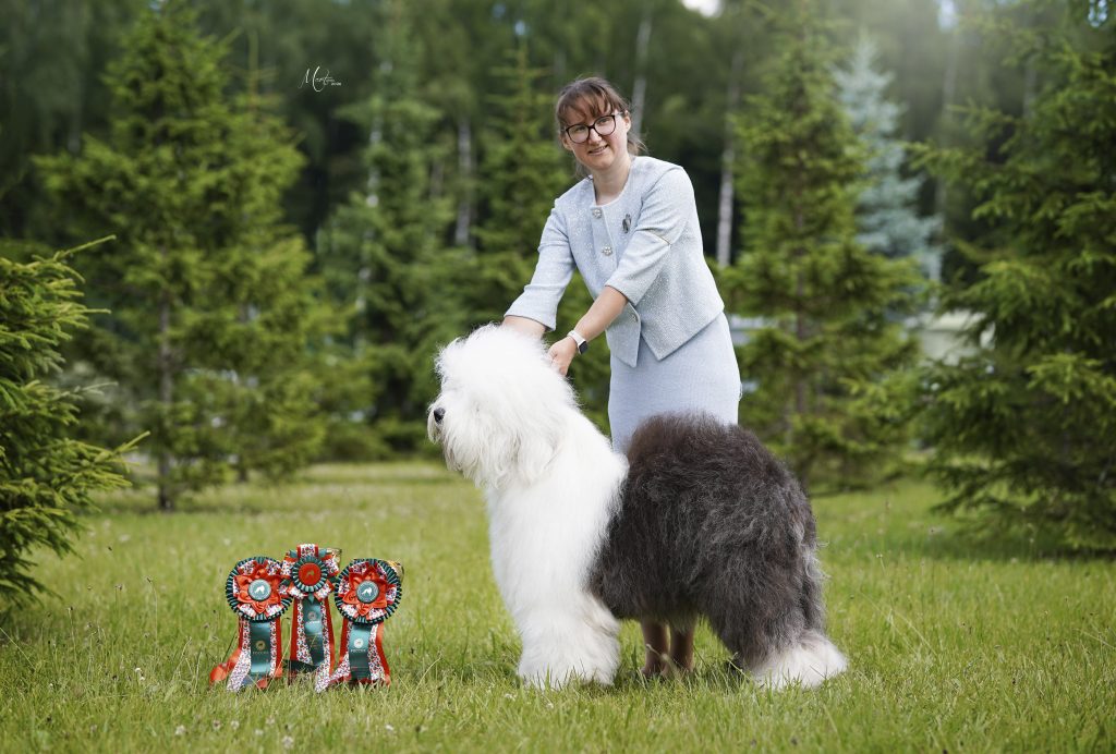 Собака JBIS JGCH FURRY MIRACLE ZEST OF CAKE ZYMA
