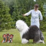 Собака FURRY MIRACLE ZIGZAG ZOOMER