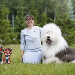 Собака FURRY MIRACLE ZIGZAG ZOOMER